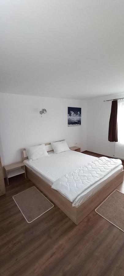 Pensiune Restaurant Alex Copalnic-Manastur Екстер'єр фото