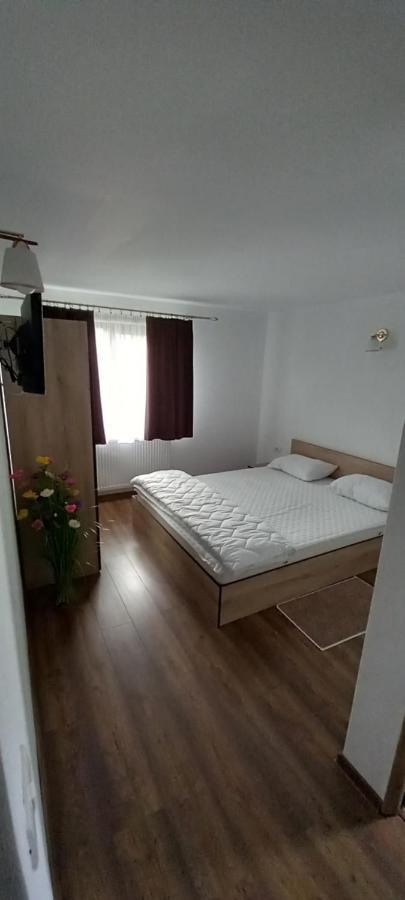 Pensiune Restaurant Alex Copalnic-Manastur Екстер'єр фото