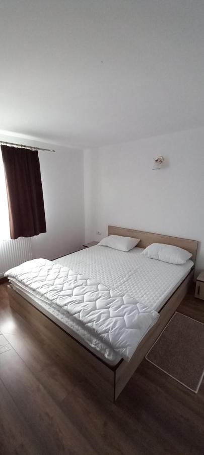 Pensiune Restaurant Alex Copalnic-Manastur Екстер'єр фото