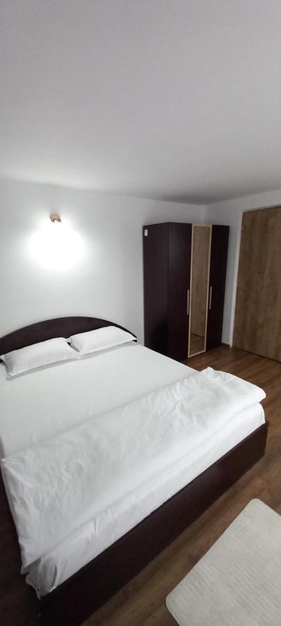 Pensiune Restaurant Alex Copalnic-Manastur Екстер'єр фото